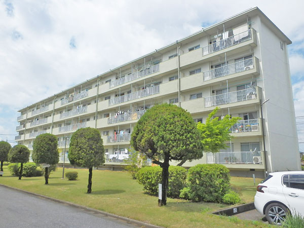 東岩槻